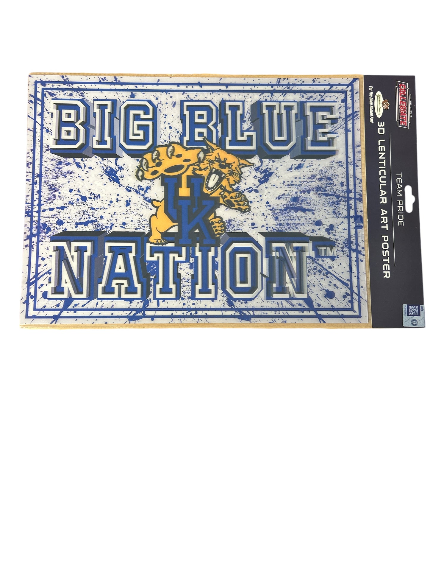 Kentucky Wildcats 12"x16" Unframed 3D Art Splatter Print